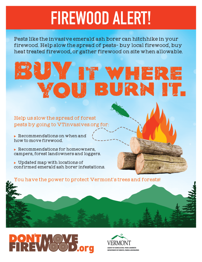 Don’t Move Firewood poster, 2019 Vermont All - Don't Move Firewood