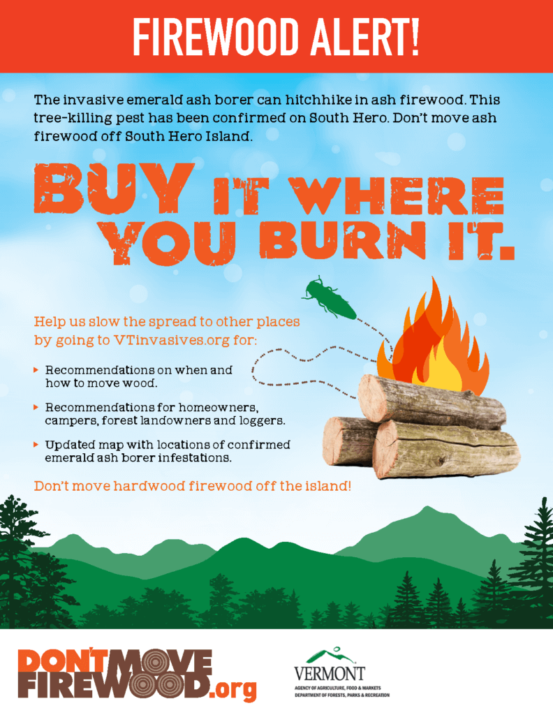 Don’t Move Firewood Poster, 2019 Vermont South Hero Island - Don't Move ...