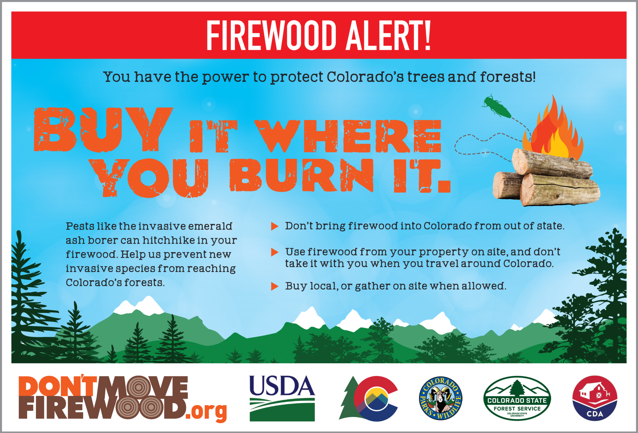 Don’t Move Firewood advertisement 2020 Colorado - Don't Move Firewood