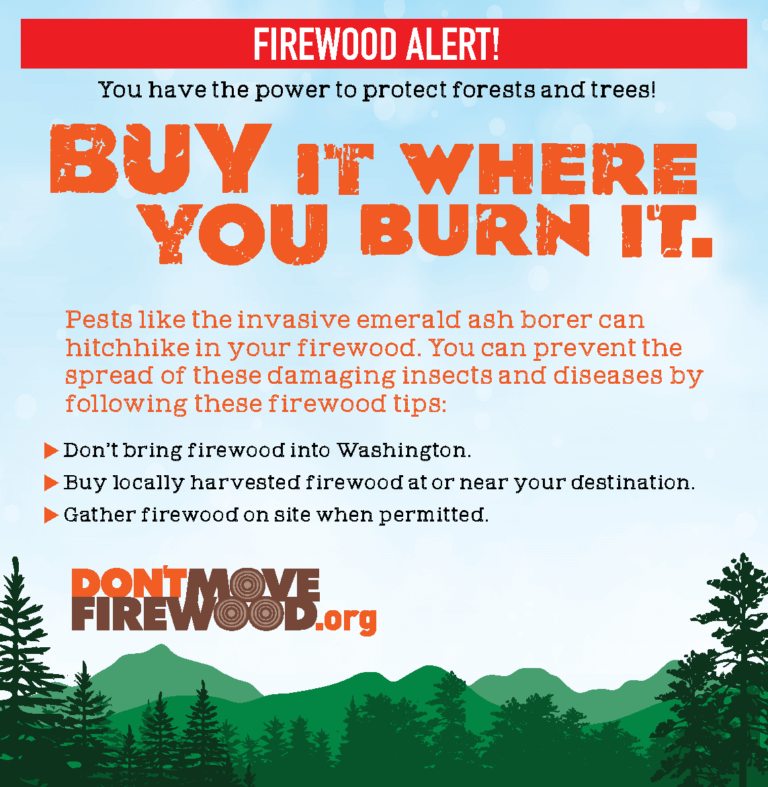 Don't Move Firewood Advertisement Washington Forest 2021 - Don't Move 