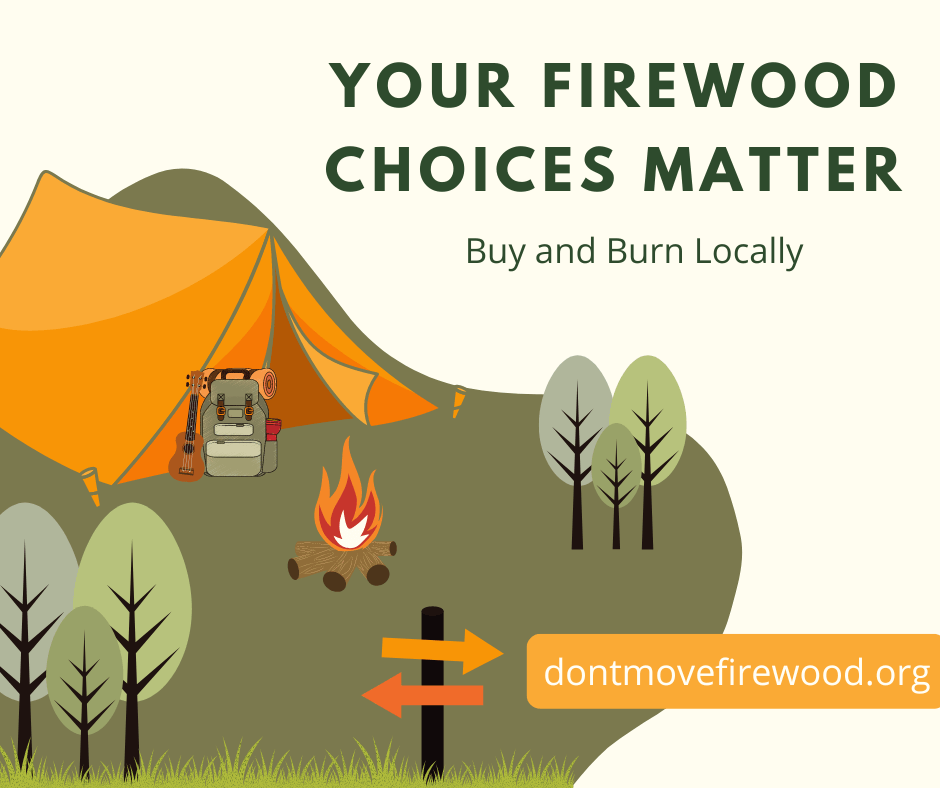 Camping - Don't Move Firewood